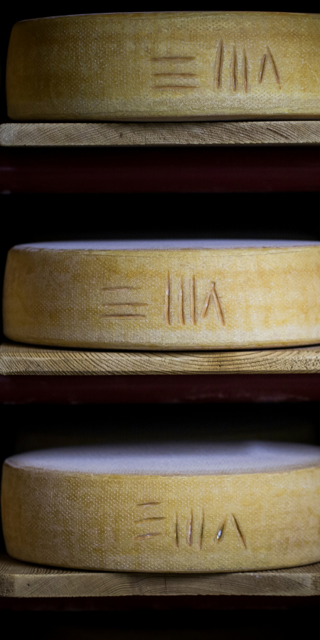 Käse aus Graubünden (Foto: © graubündenVIVA / Gaudenz Danuser) Käse aus Graubünden